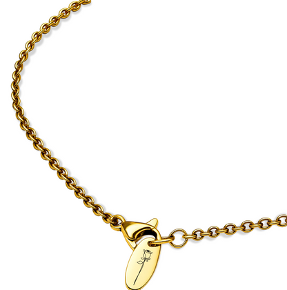 belleANICE® – belle Fleur de Paris Medaillon Halskette mit Premium Kristall